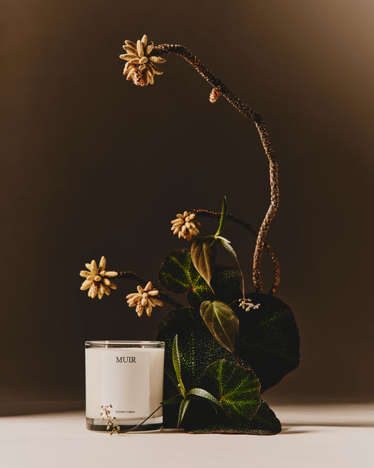 Muir Candle