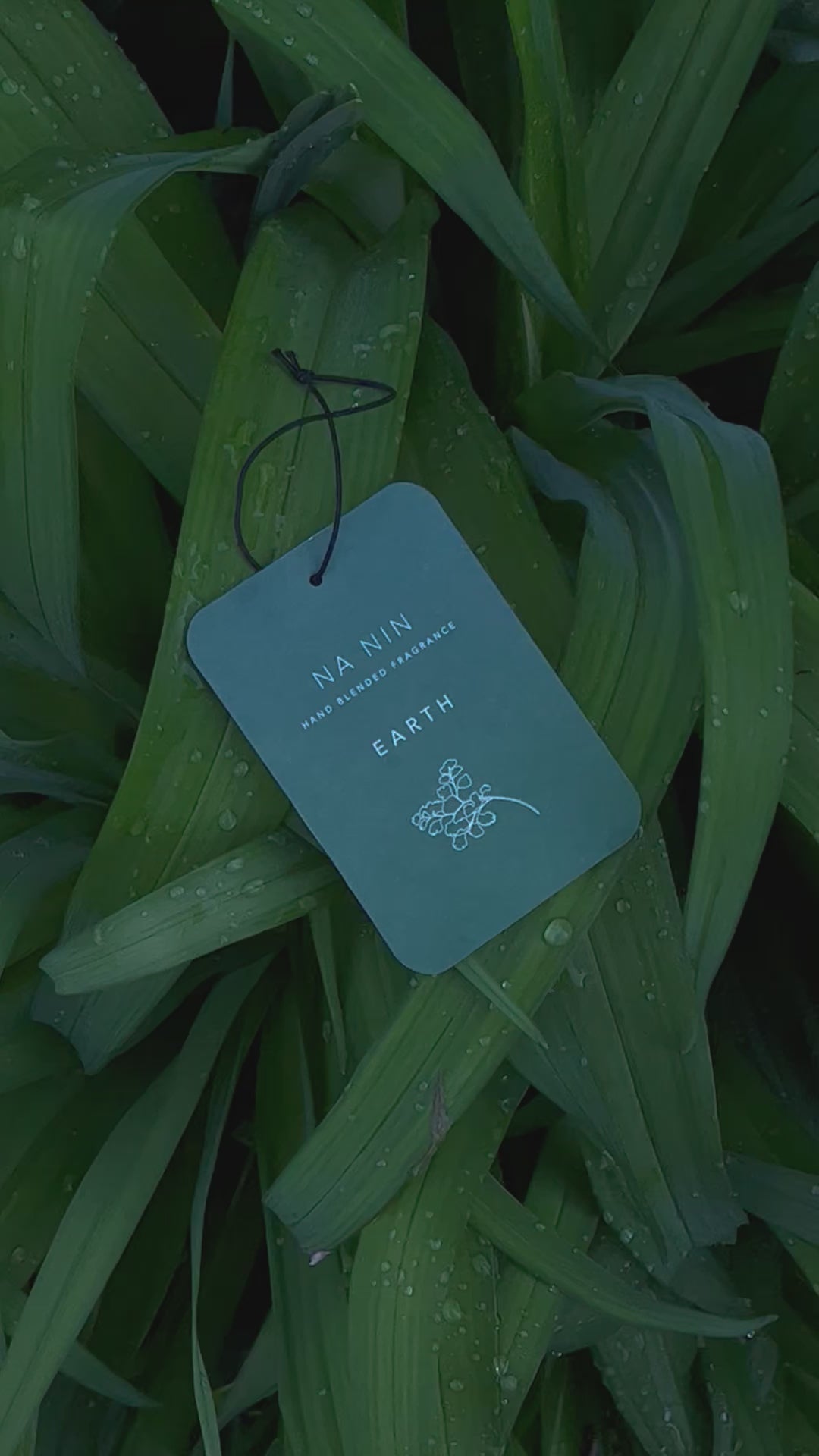 FRAGRANCE CARDS – NA NIN
