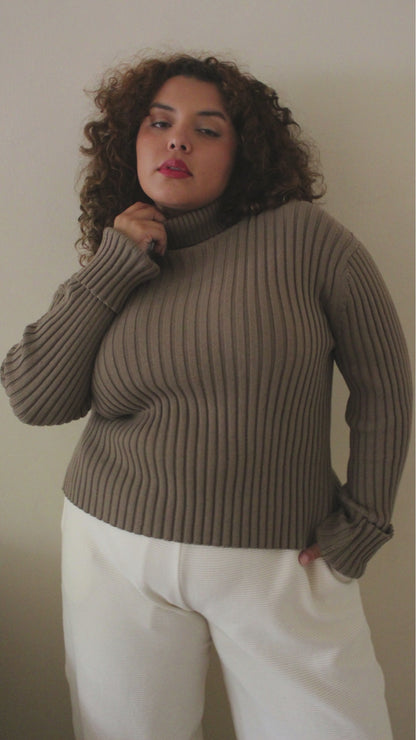Montana Pima Cotton Turtleneck