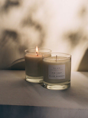 Case of 6 x Fig Leaf & Olive Branch Candle / Available in Multiple Sizes