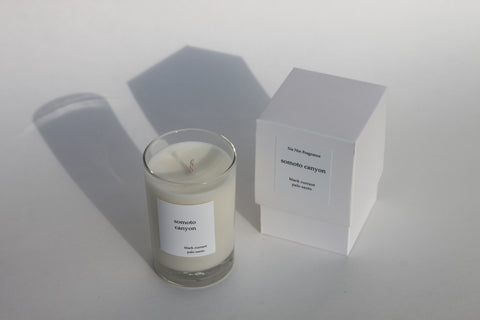 The Tried & True Best Sellers / Candles, Incense & Home Fragrance